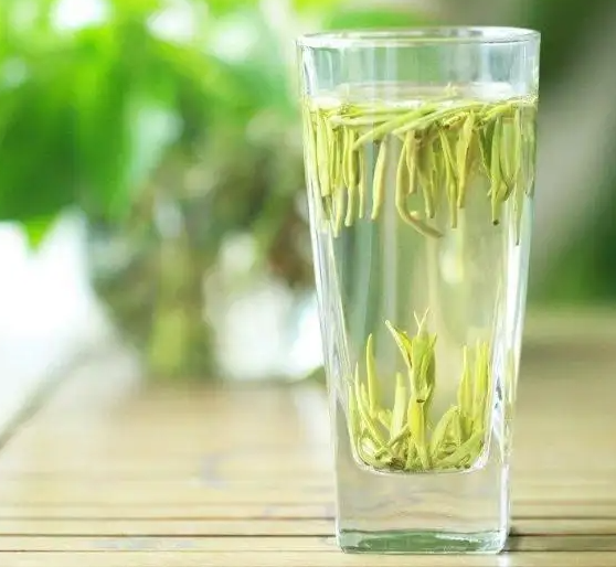 竹叶青茶的功效与作用 喝竹叶青茶有什么禁忌注意事项？