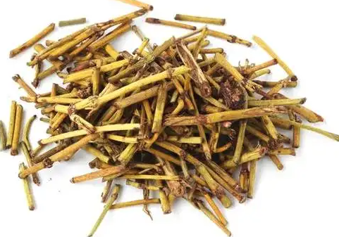 炙麻黄的功效与作用 炙麻黄含有麻黄碱吗