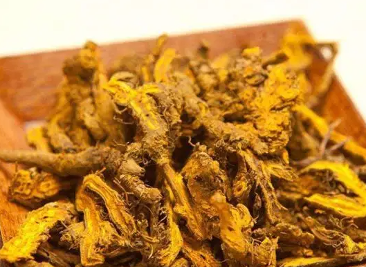 黄连能改成萸黄连吗？萸黄连的作用与功效