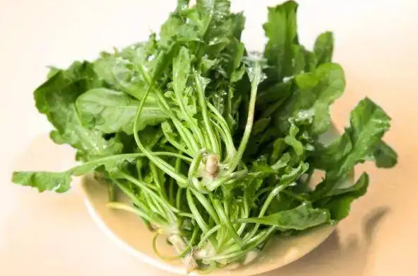 荠菜的功效与作用 荠菜哪三种人不能吃