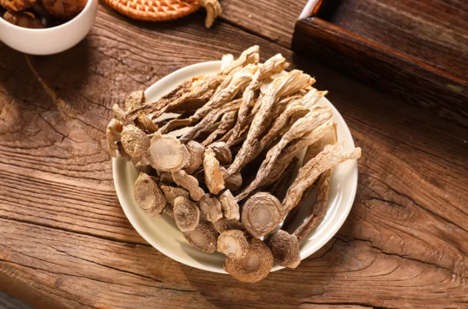 鹿茸菌的功效 鹿茸菌的食用方法