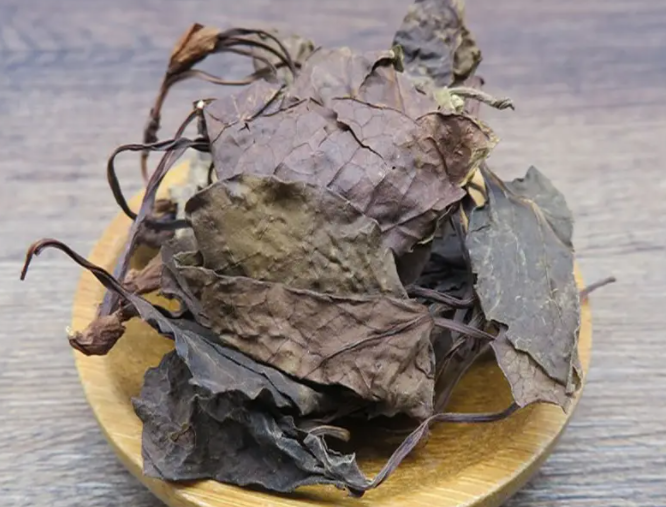 鹿含草的功效与作用 鹿含草泡水喝的好处