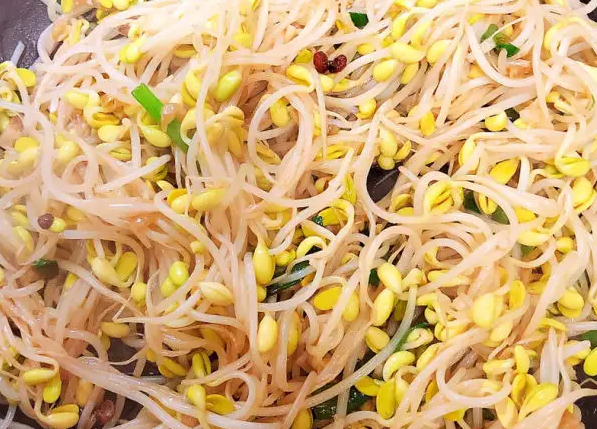 黄豆芽的营养价值 吃黄豆芽的好处
