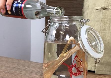 用鲨鱼筋泡酒有这些功效和作用 快来看看吧
