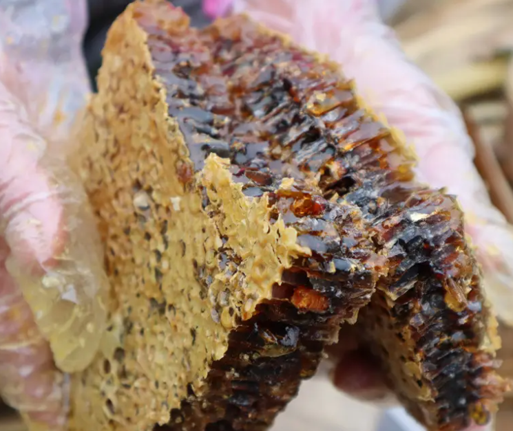 老巢蜜的功效与作用 老巢蜜的食用方法