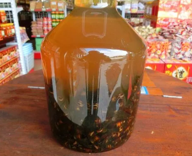 黄蜂酒的功效与作用 女人喝黄蜂酒的功效