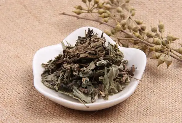 车前草的功效与作用 车前草如何选择