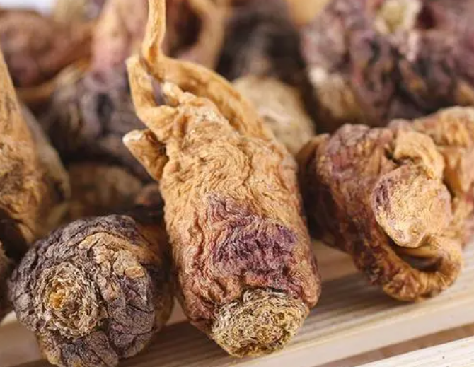 紫玛卡的功效与作用是什么 黑玛卡和紫马卡的区别是什么
