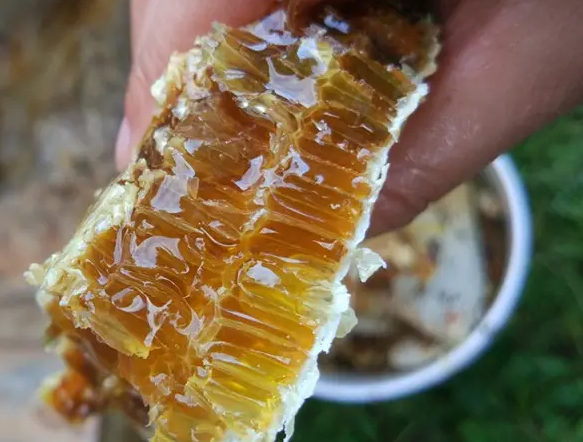 蜂蜜敷脸的作用与功效 蜂蜜如何美容