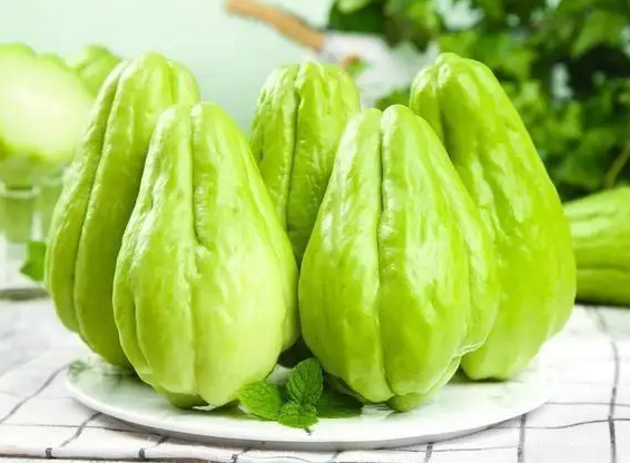 洋瓜是什么 洋瓜的功效与作用
