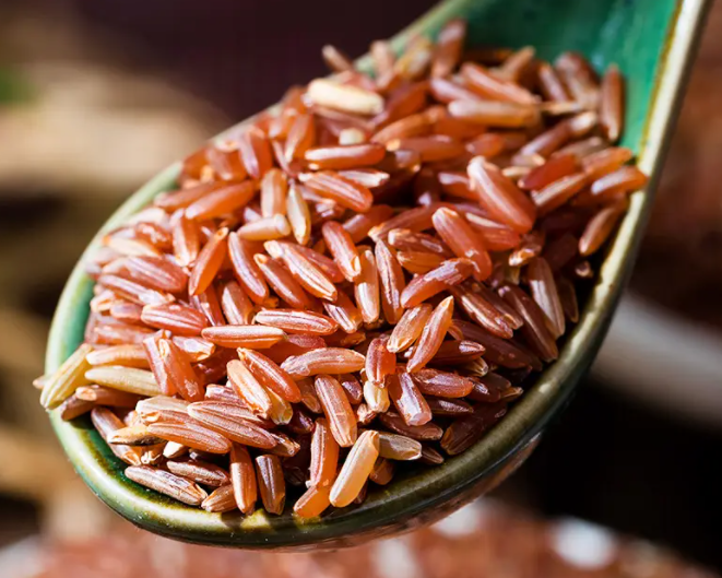 红米的功效与作用 红米的食用方法