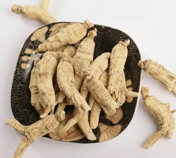 西洋参怎样泡水喝 西洋参对便秘有用吗
