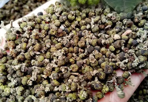中药吴萸子的功效与作用 吴萸子的4大作用
