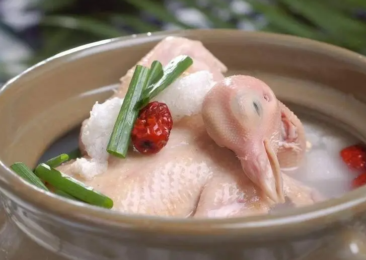 鸽子汤的做法与功效 鸽子炖什么药材壮阳补肾