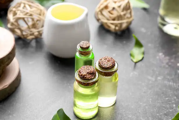 茶树精油的作用 茶树精油可以治牙痛吗