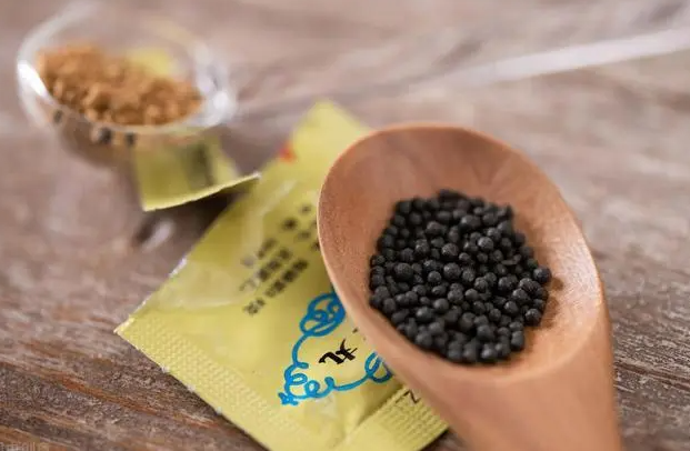 四妙丸的功效与作用 四妙丸怎么吃