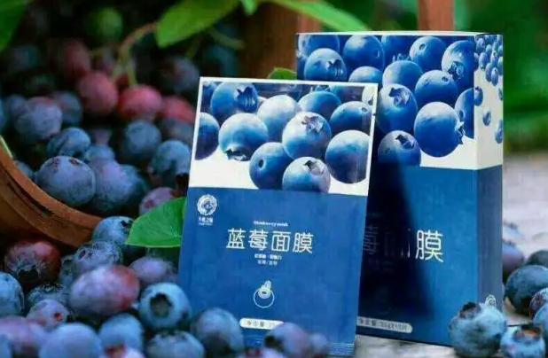 蓝莓面膜的功效与作用 蓝莓面膜的4种好处