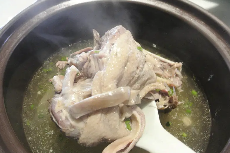 猪肚鸭肉能一起炖吗 老鸭猪肚煲的功效