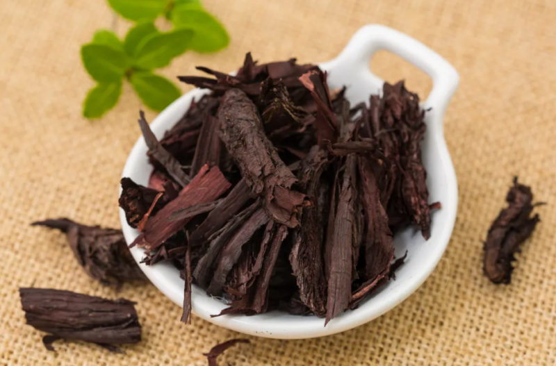 紫草的功效与作用是什么 紫草治疗哪些皮肤病