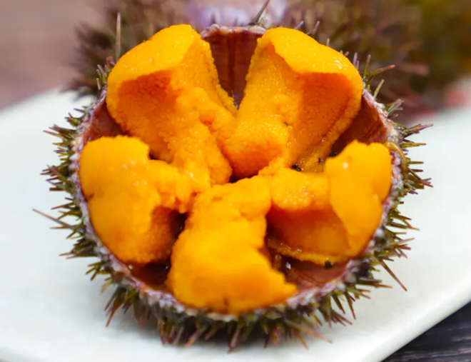 海胆如何吃 海胆的吃法和食用方法