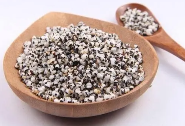 王不留行有哪些作用和功效 王不留行一天用量多少