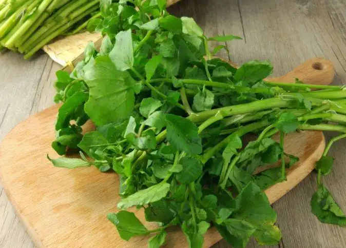 西洋菜的营养价值 西洋菜的功效与作用