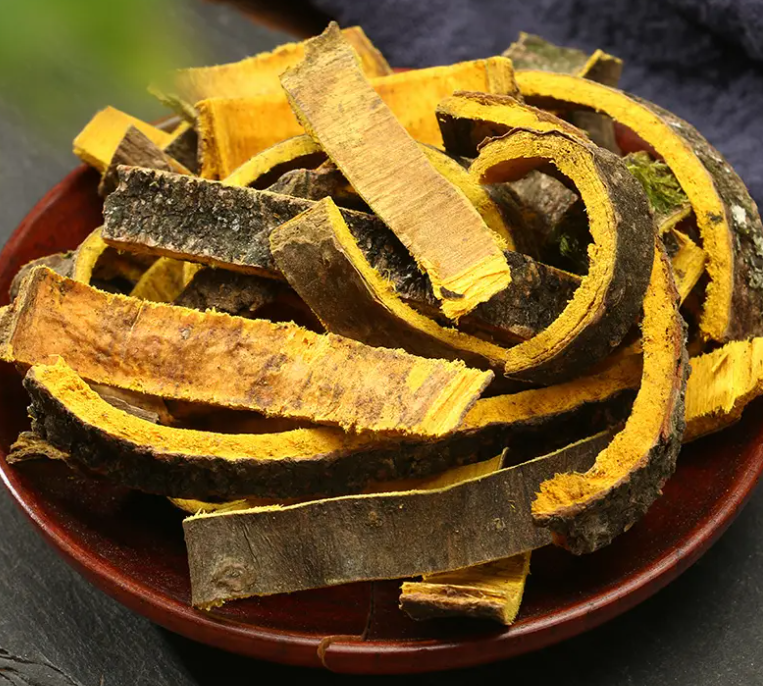黄柏的功效与作用 黄柏有滋阴的功效吗