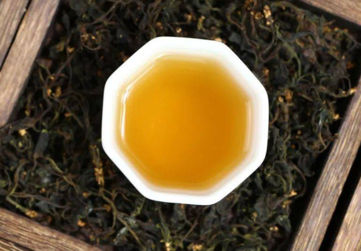 连翘茶的功效与作用 湿气重的人适合喝连翘茶吗