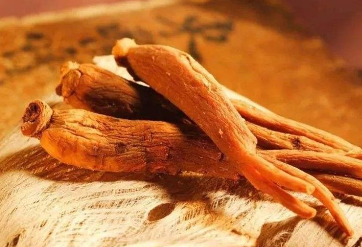 红参的功效 红参对女性的功效与作用