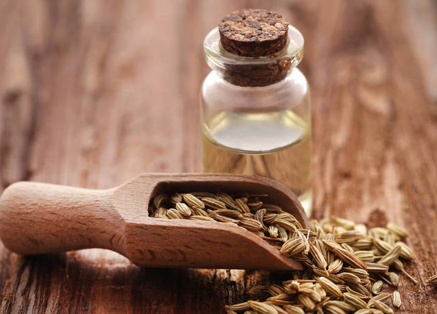 小茴香精油的功效与作用 多特瑞小茴香单方精油使用方法