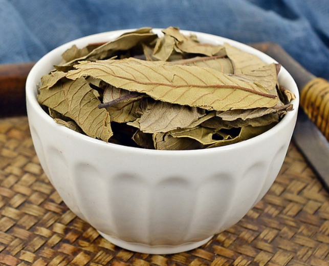 番石榴芽作用是什么？番石榴叶芽煮水的作用与功效