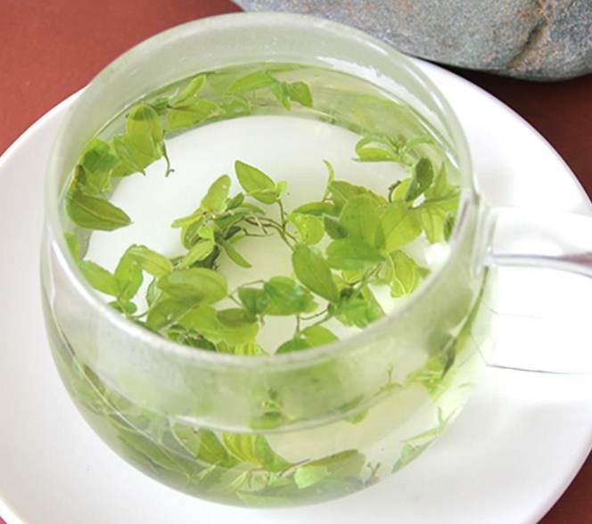 枣叶茶的功效与作用 枣叶茶的注意事项