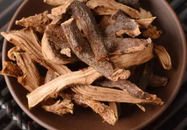 骨碎补有哪些功效与作用 骨碎补主要配什么药