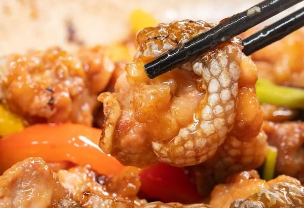 鳄鱼肉的功效 鳄鱼肉的营养价值是什么
