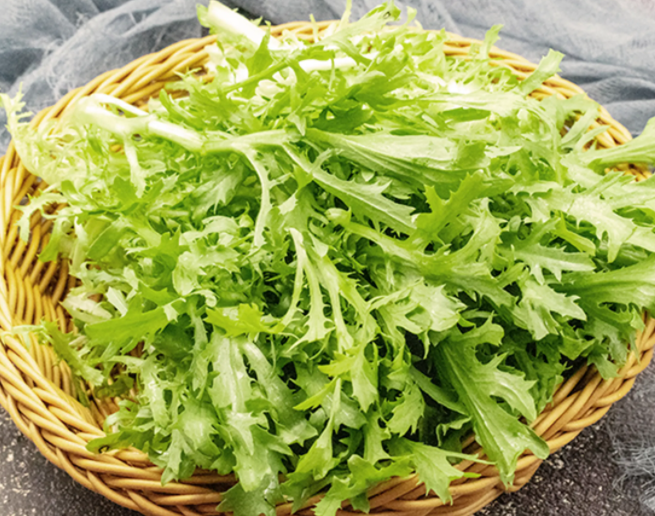 苦菊怎么做好吃 苦菊怎么凉拌好吃