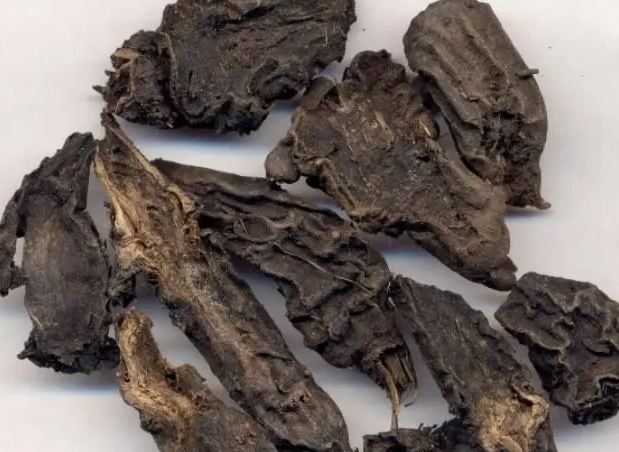 制草乌的功效与作用 制草乌的药用价值