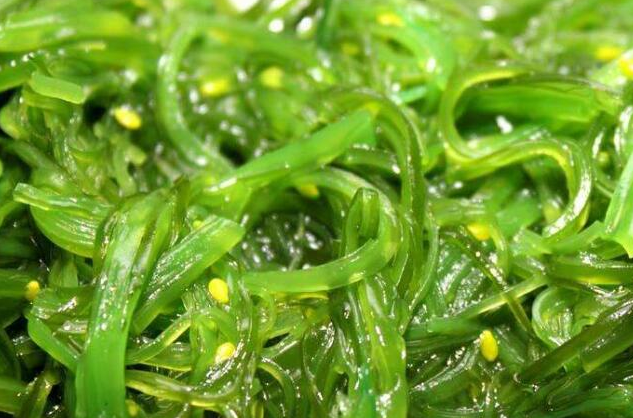 螺旋藻的功效与作用 螺旋藻的正确食用方法
