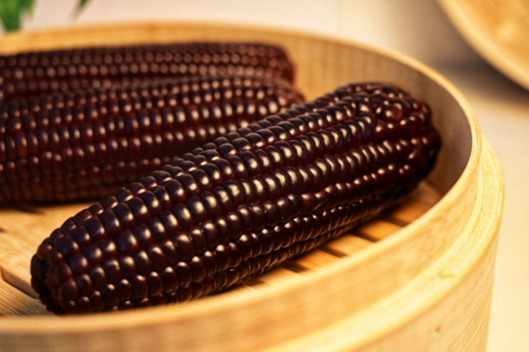 黑玉米的功效与作用 吃黑玉米的好处