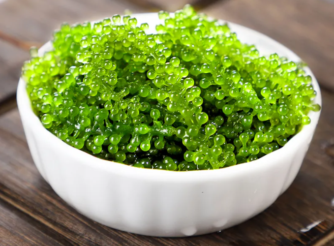 海葡萄怎么吃 海葡萄的食用方法