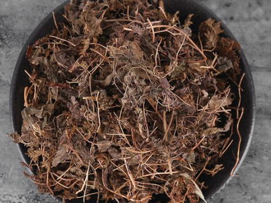 金沙藤的功效与作用 金沙藤的食用方法
