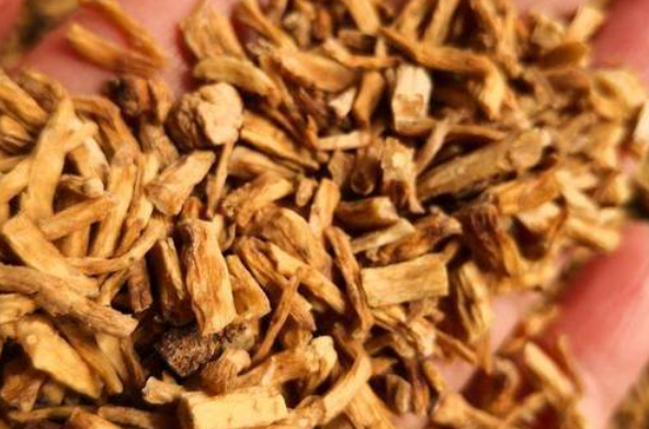 秦艽的功效与作用 秦艽可以和当归配伍吗