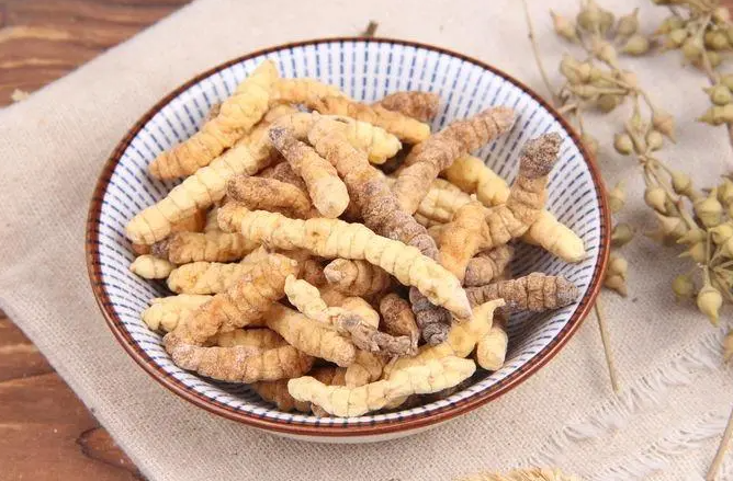 土虫草的功效与作用 土虫草的食用方法