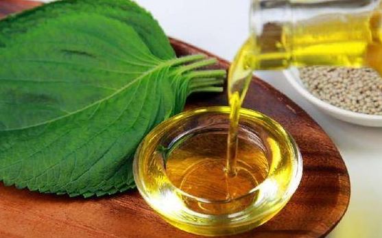 紫苏油的功效与作用及食用方法 紫苏油能涂抹脸部吗