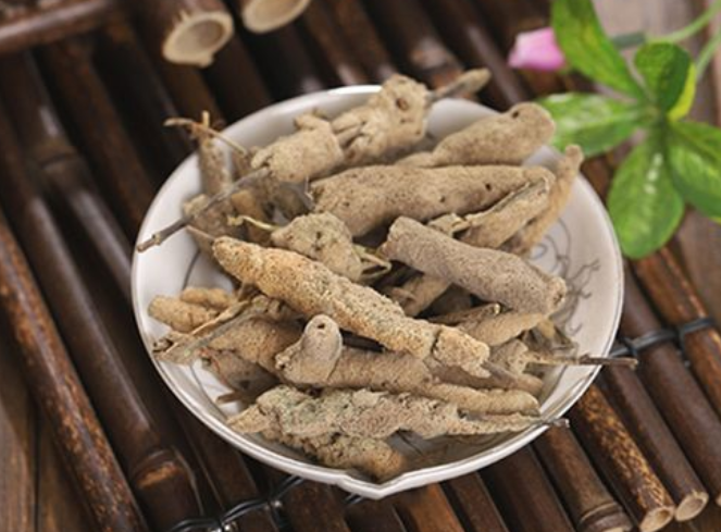 紫梢花的功效与作用 紫梢花的用法