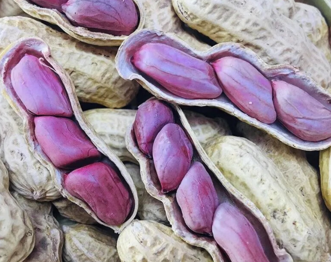 紫色花生米有什么功效与作用 紫豆角的功效与作用