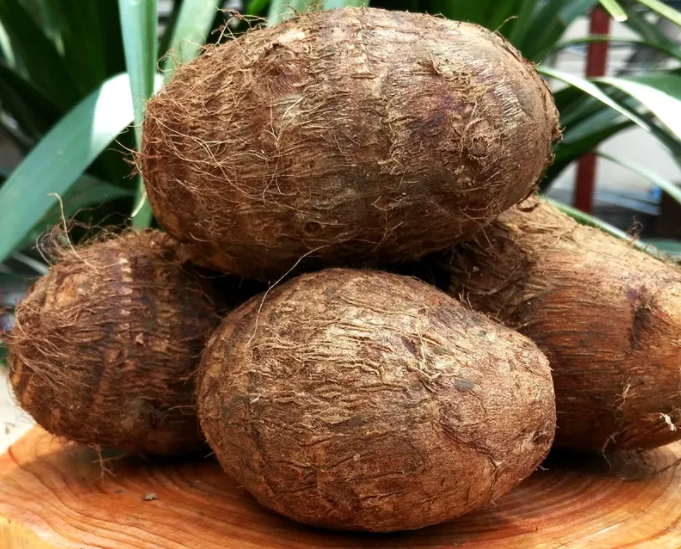 芋子的功效与作用 芋子的功效与作用及营养价值