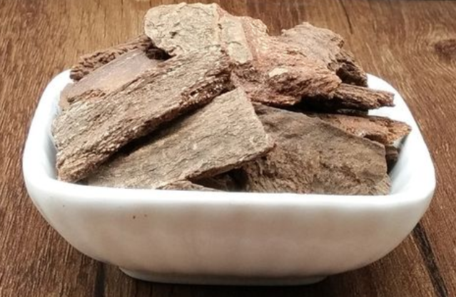 追地风有什么功效和作用 追地风和骨碎补泡酒可以祛风湿吗