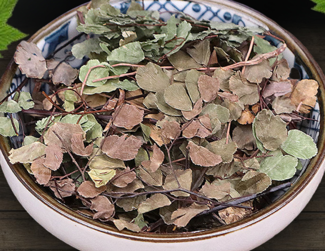 猪鬃草的功效与作用（猪鬃草的功效与作用与用量）