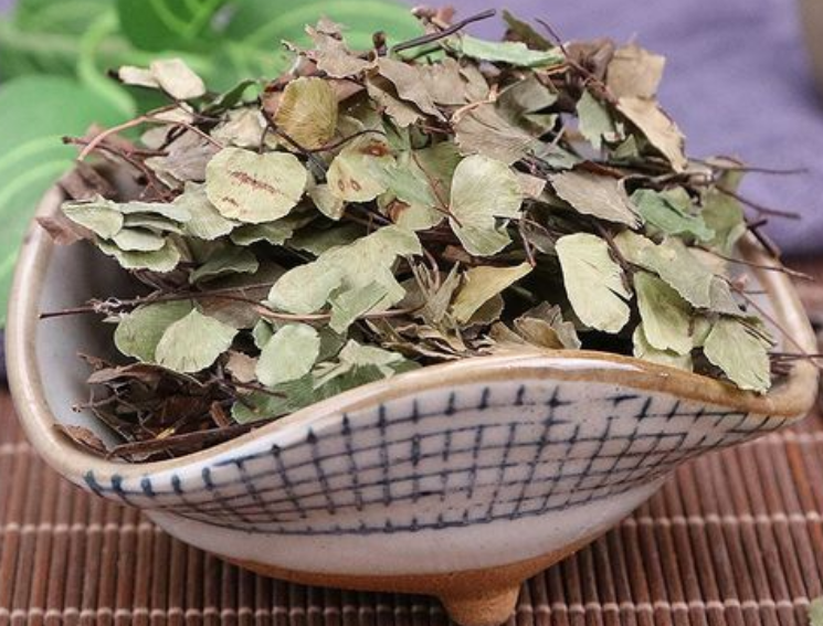 猪鬃草的功效与作用（猪鬃草的功效与作用禁忌）
