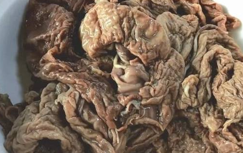 猪胎盘的功效与作用 胎盘的食用方式和注意事项